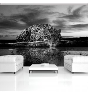 Wall Mural vlies: Jaguar (Black & White) - 208x146 cm