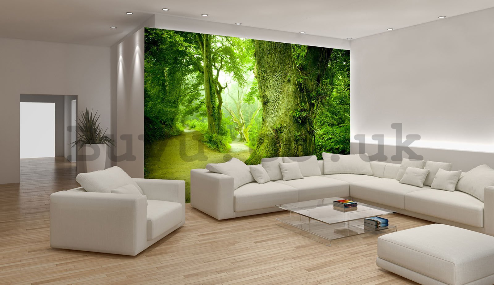 Wall Mural vlies: Magical forest - 208x146 cm
