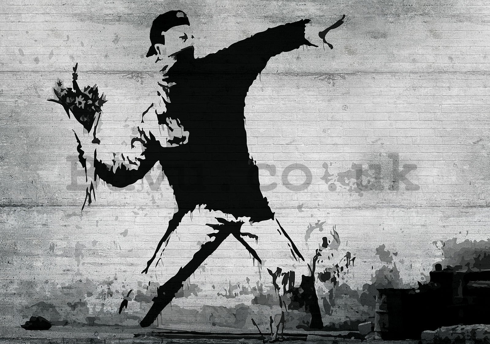 Wall mural vlies: The flower thrower - 416x254 cm