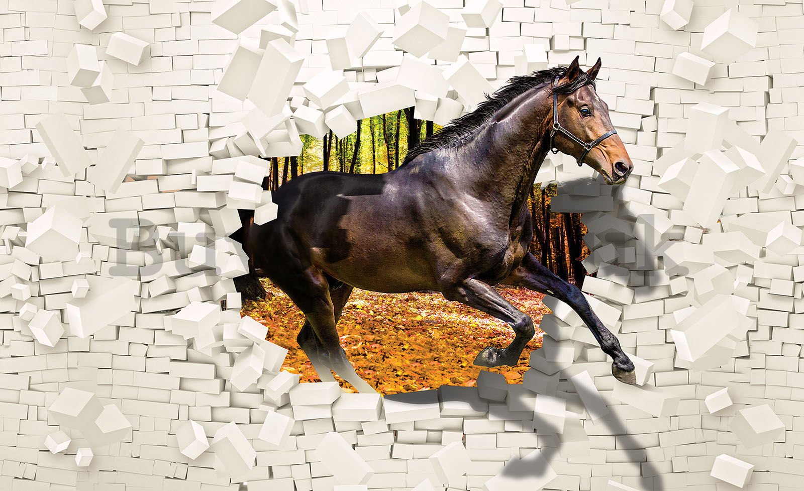 Wall mural vlies: Horse from the wall  - 104x70,5cm