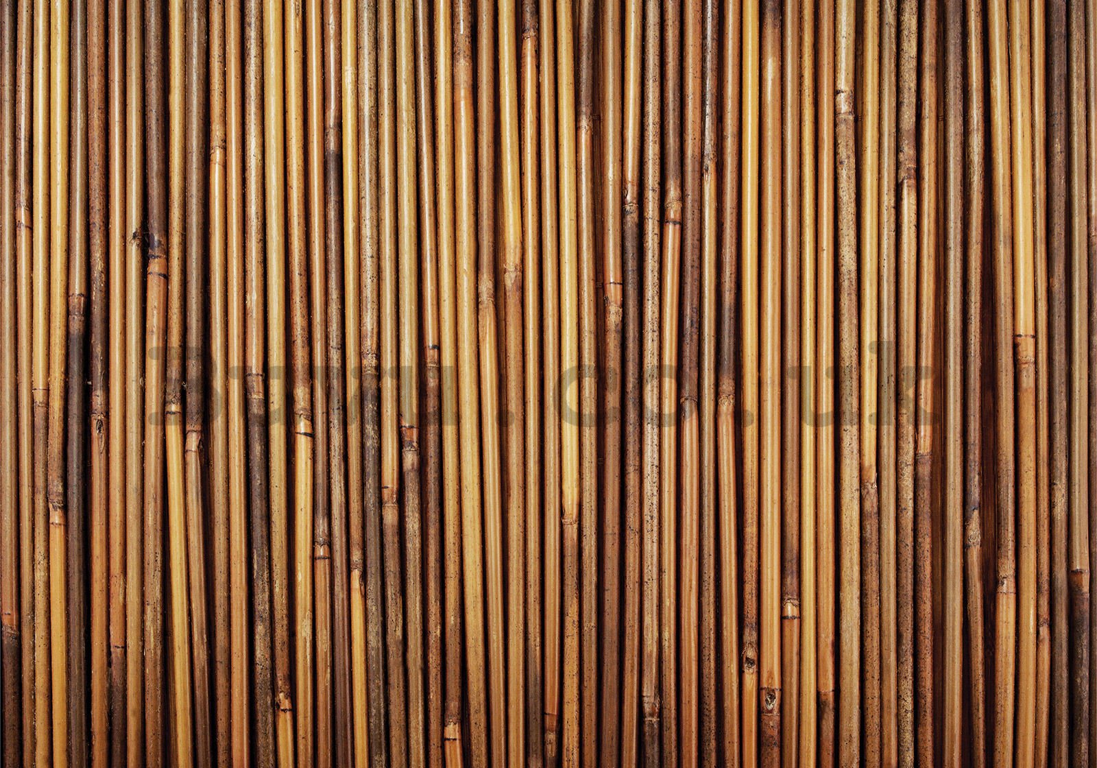 Wall mural vlies: Bamboo cladding - 400x280 cm