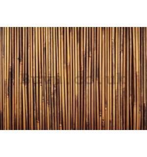 Wall mural vlies: Bamboo cladding - 400x280 cm