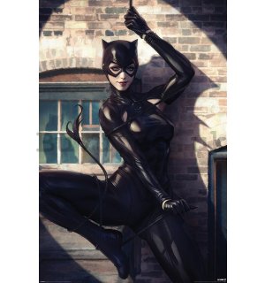 Poster - Catwoman (Spot Light)