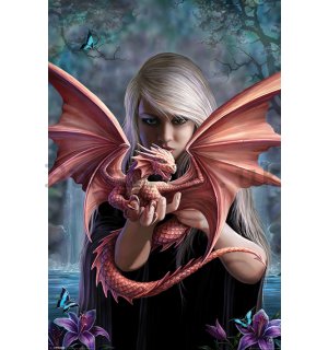 Poster - Anne Stokes, Dragonkin