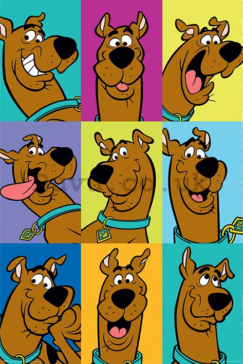Poster - Scooby Doo (The Many Faces Of Scooby Doo)