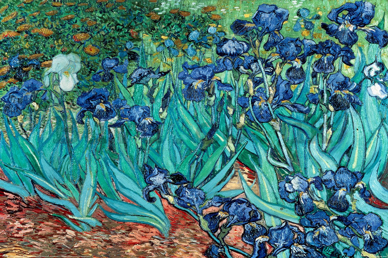 Poster - Van Gogh (Les Irises)