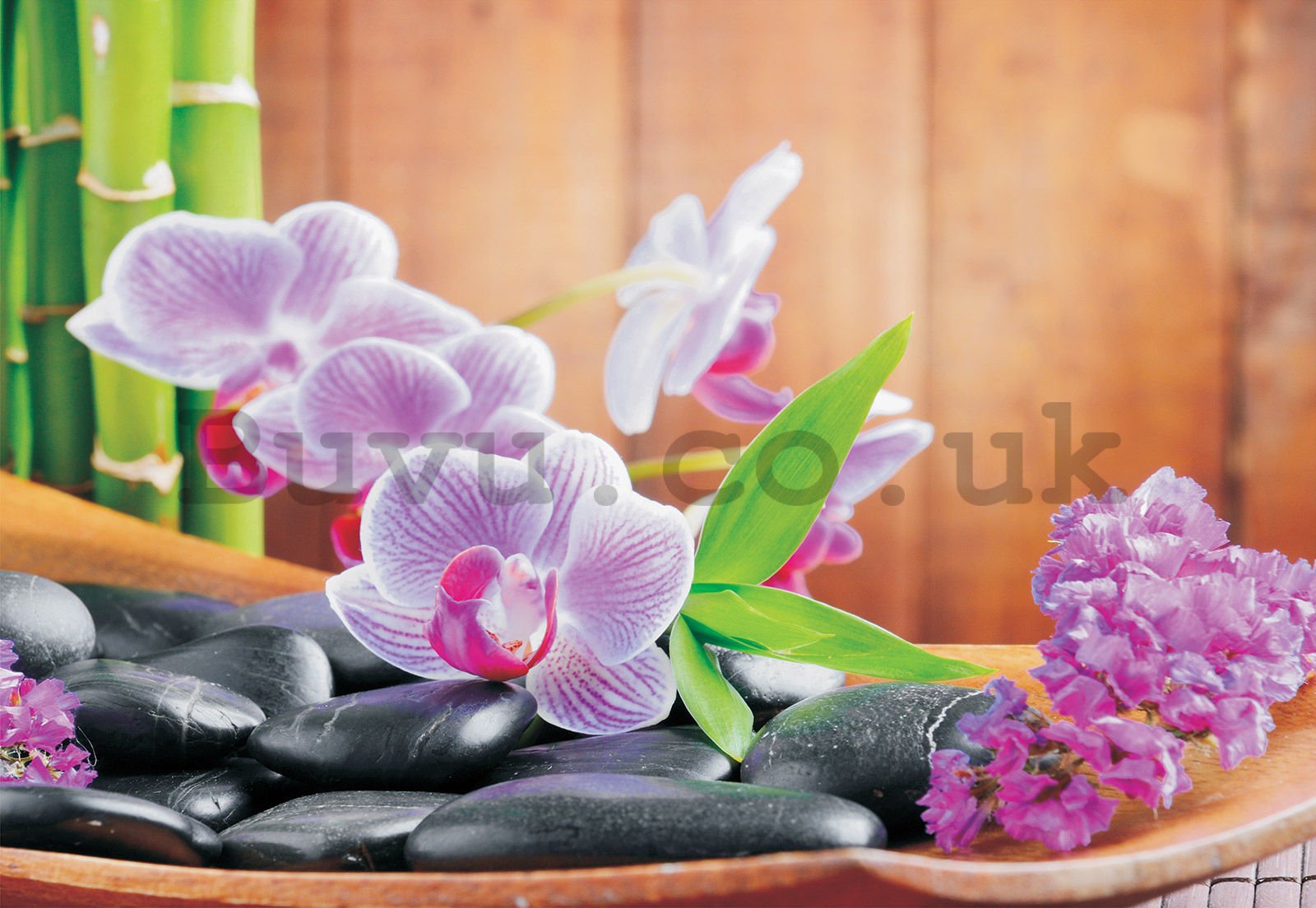 Wall Mural: Orchid (1) - 368x254 cm