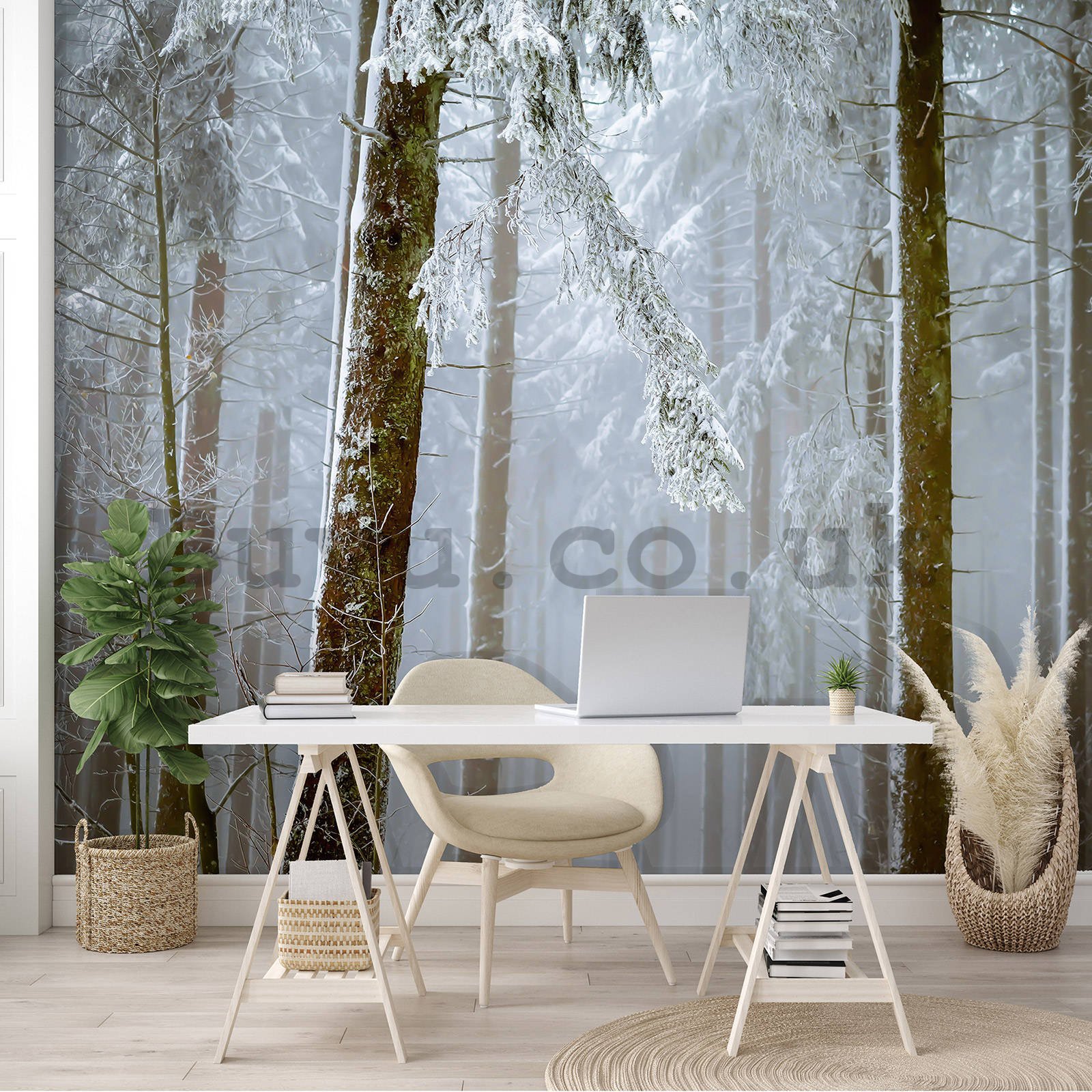 Wall mural vlies: Snow-covered coniferous forest - 254x184 cm