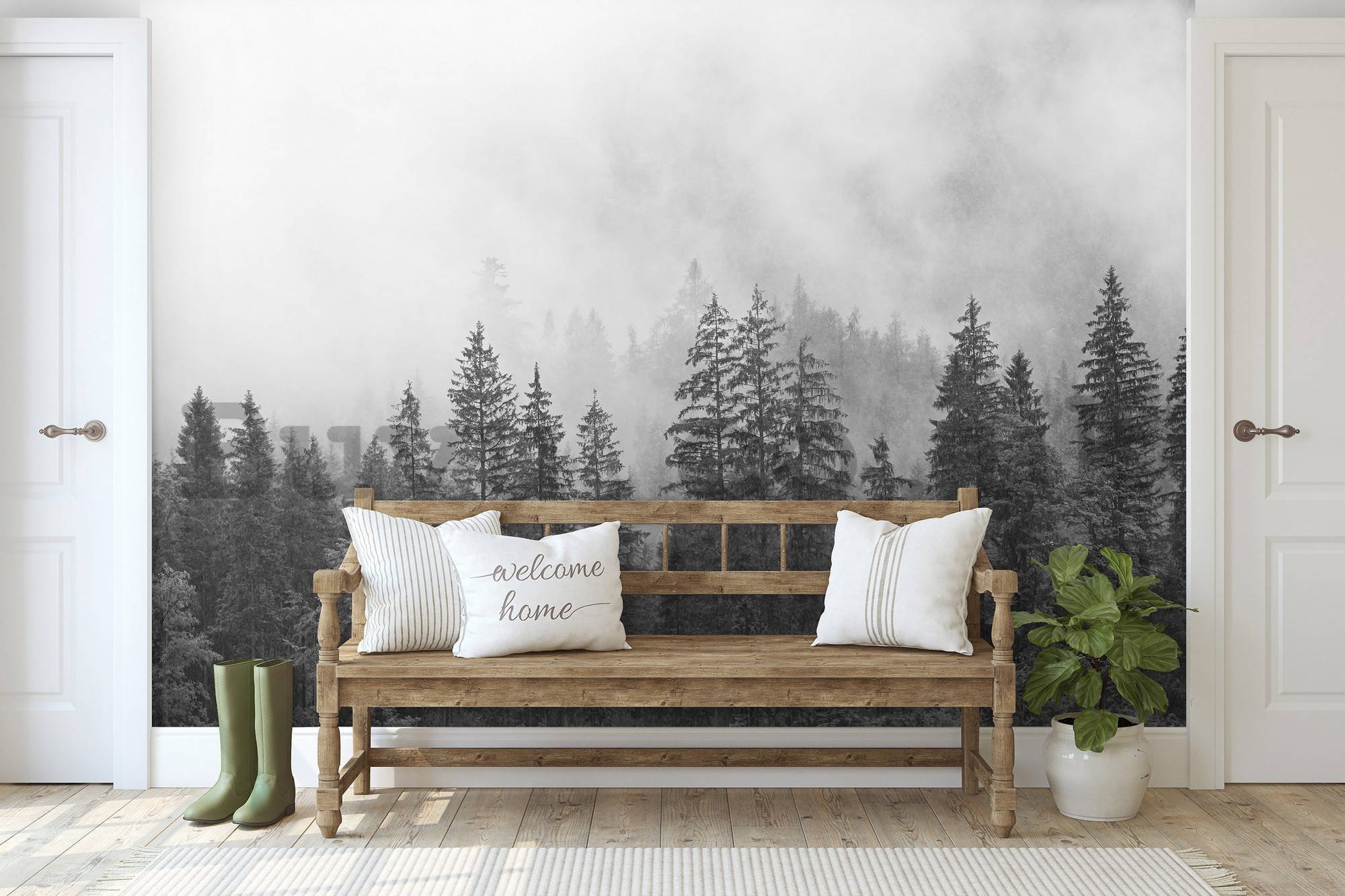 Wall mural vlies: Fog over the black and white forest - 254x184 cm