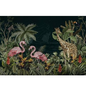 Wall mural vlies: Flamingos and giraffe - 254x184 cm