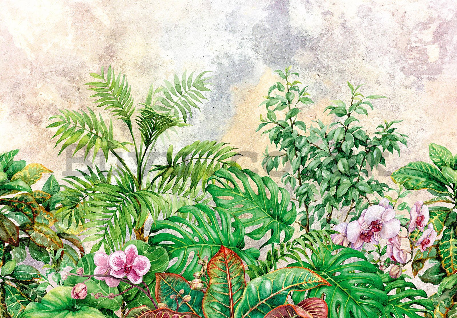 Wall mural vlies: Painted Plants - 368x254 cm
