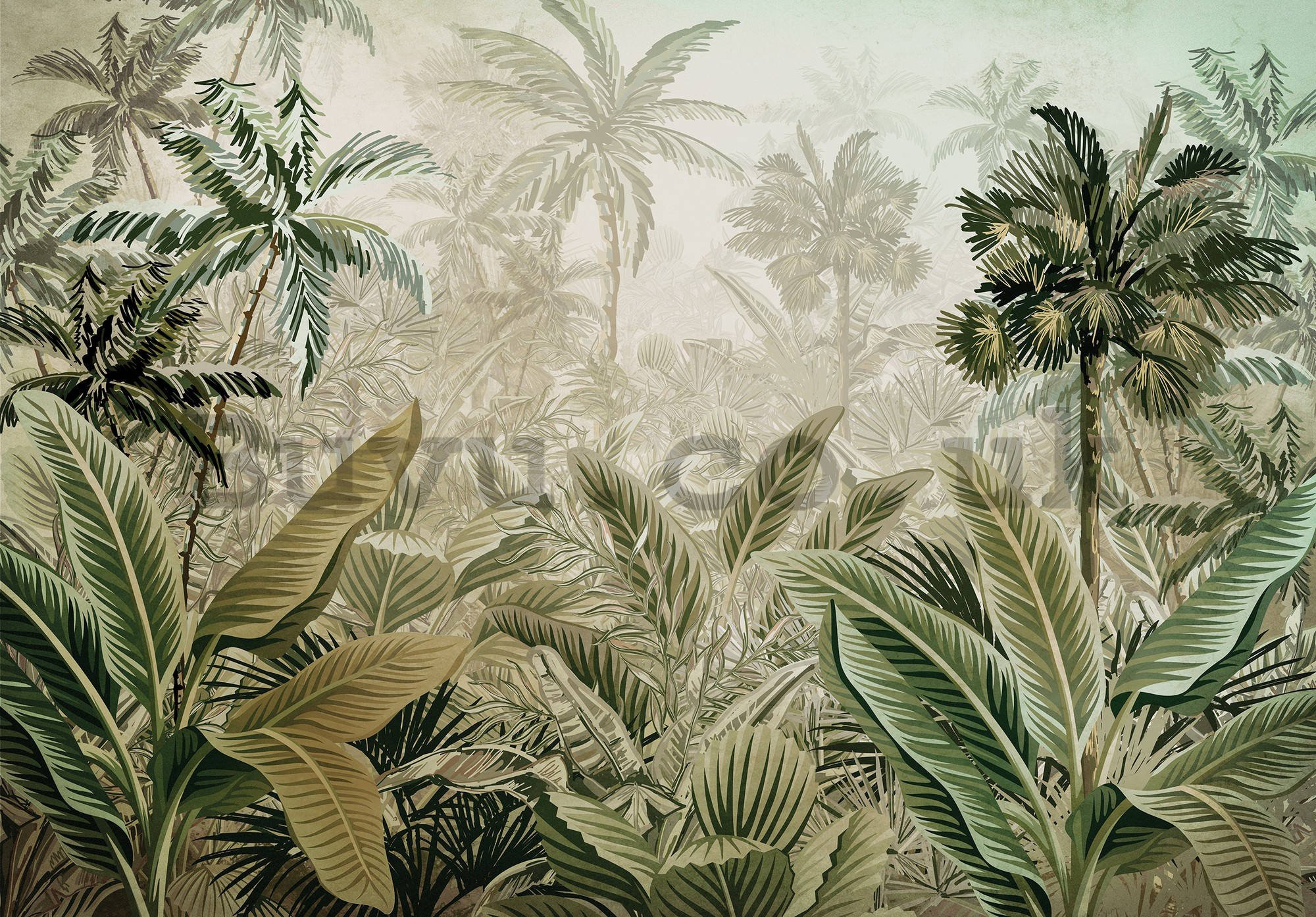 Wall mural vlies: Tropical vegetation - 368x254 cm