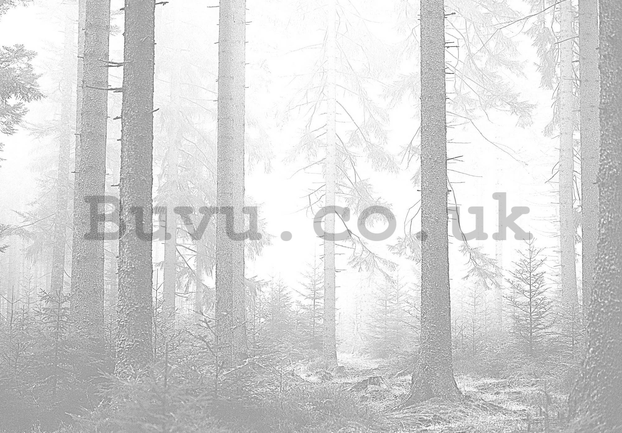 Wall mural vlies: Black and white forest (3) - 104x70,5 cm