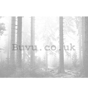 Wall mural vlies: Black and white forest (3) - 104x70,5 cm