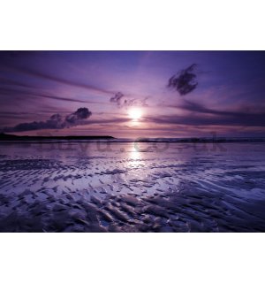 Wall Mural: Violet sunset - 254x368 cm
