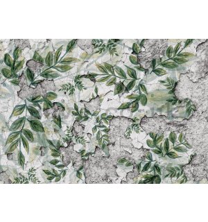 Wall mural vlies: Green leaves on cracked plaster - 416x254 cm