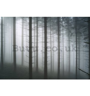 Wall mural vlies: Haunted Forest (1) - 416x254 cm