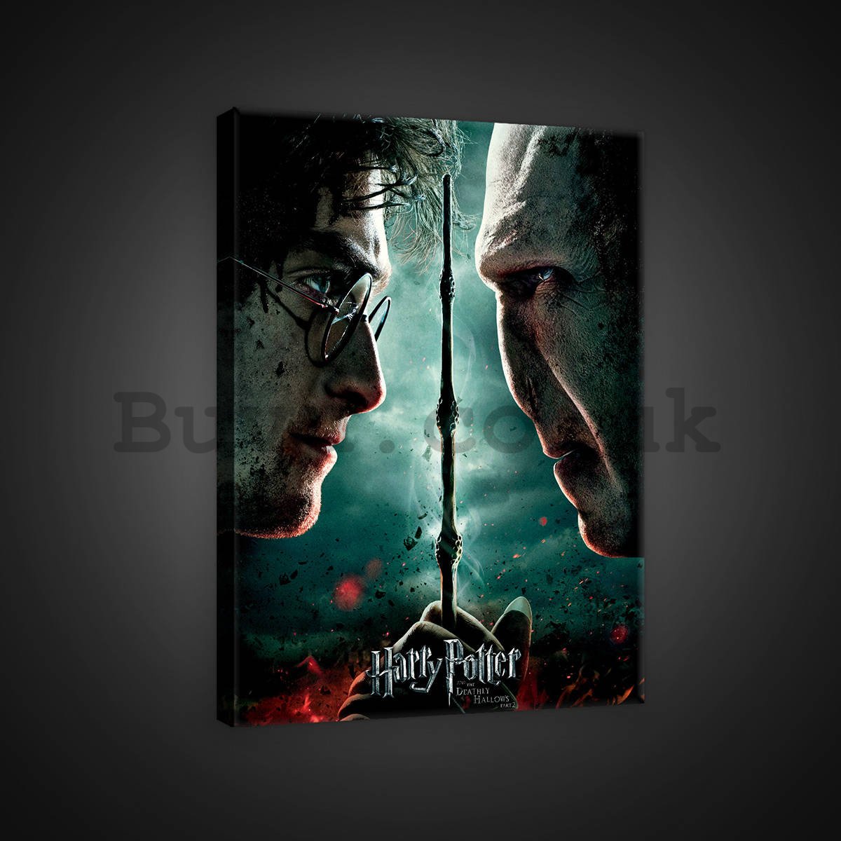 Painting on canvas: Harry Potter and Deathly Hallows Part 4 - 75x100 cm