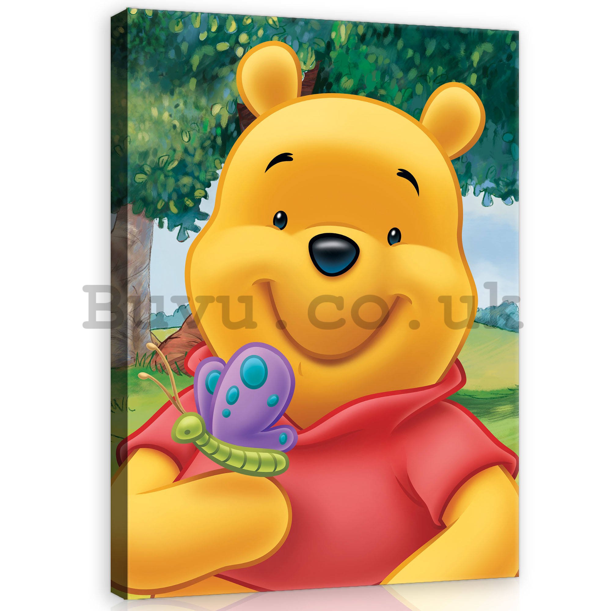 Painting on canvas: Winnie the Pooh (Butterfly)  - 75x100 cm