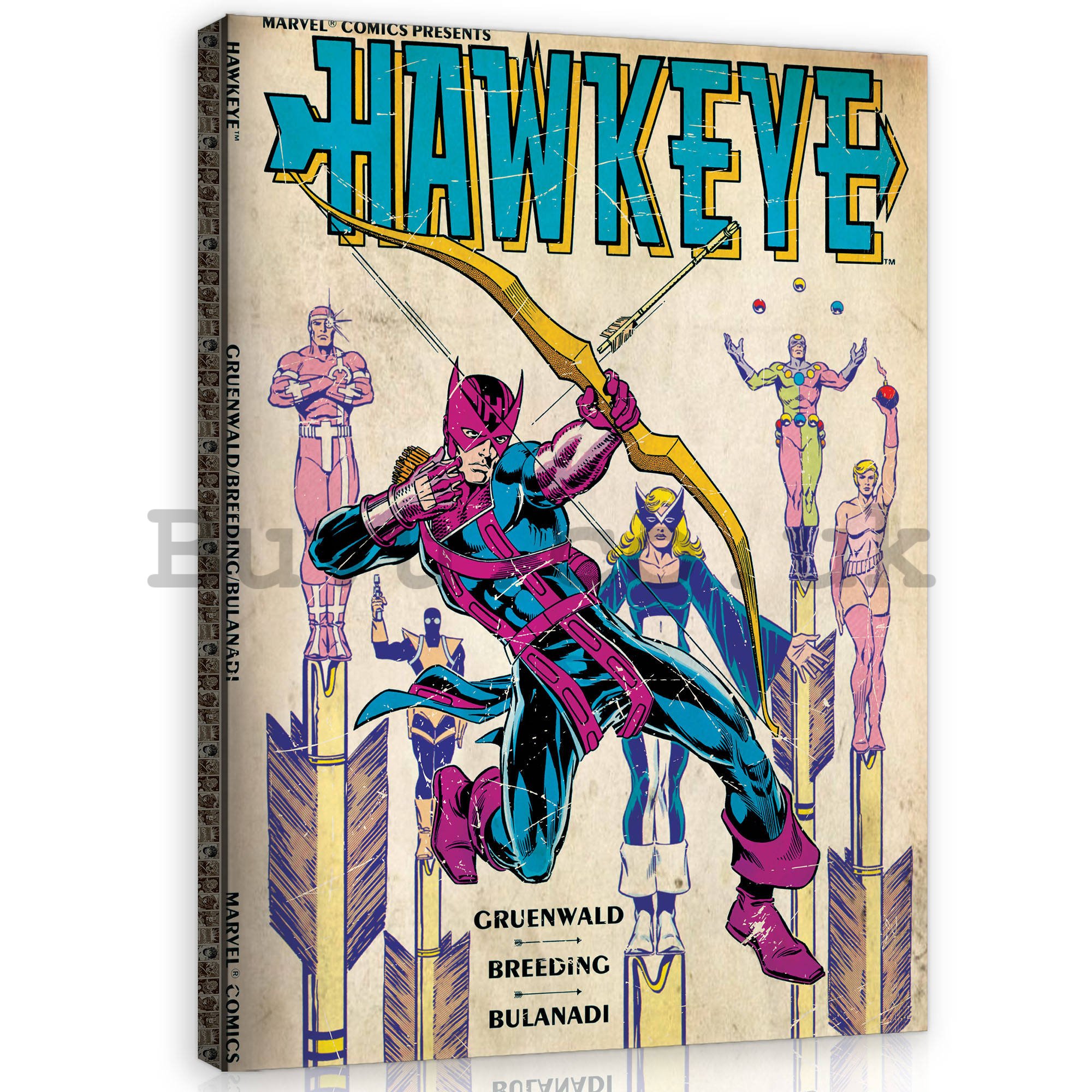 Painting on canvas: Hawkeye - 60x80 cm