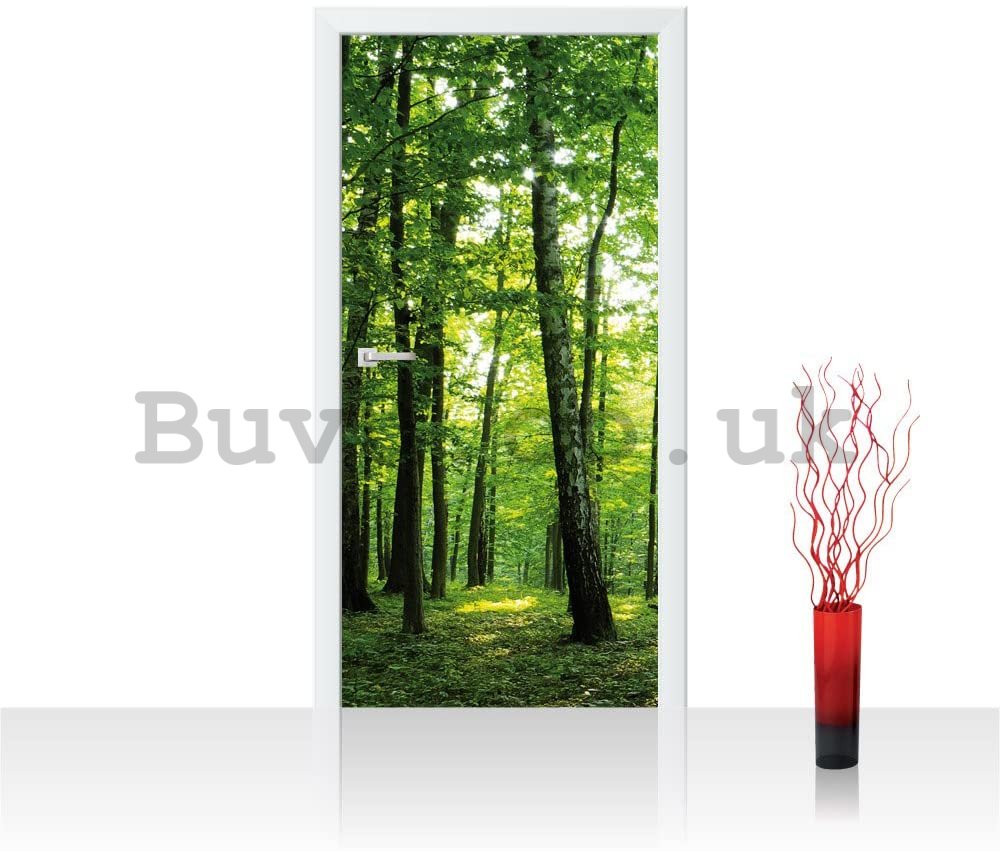 Photo Wallpaper Self-adhesive: Woods (2) - 100x211 cm