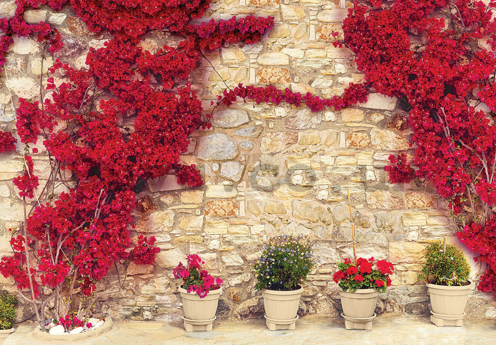 Wall mural vlies: Red flower wall (2) - 254x184 cm