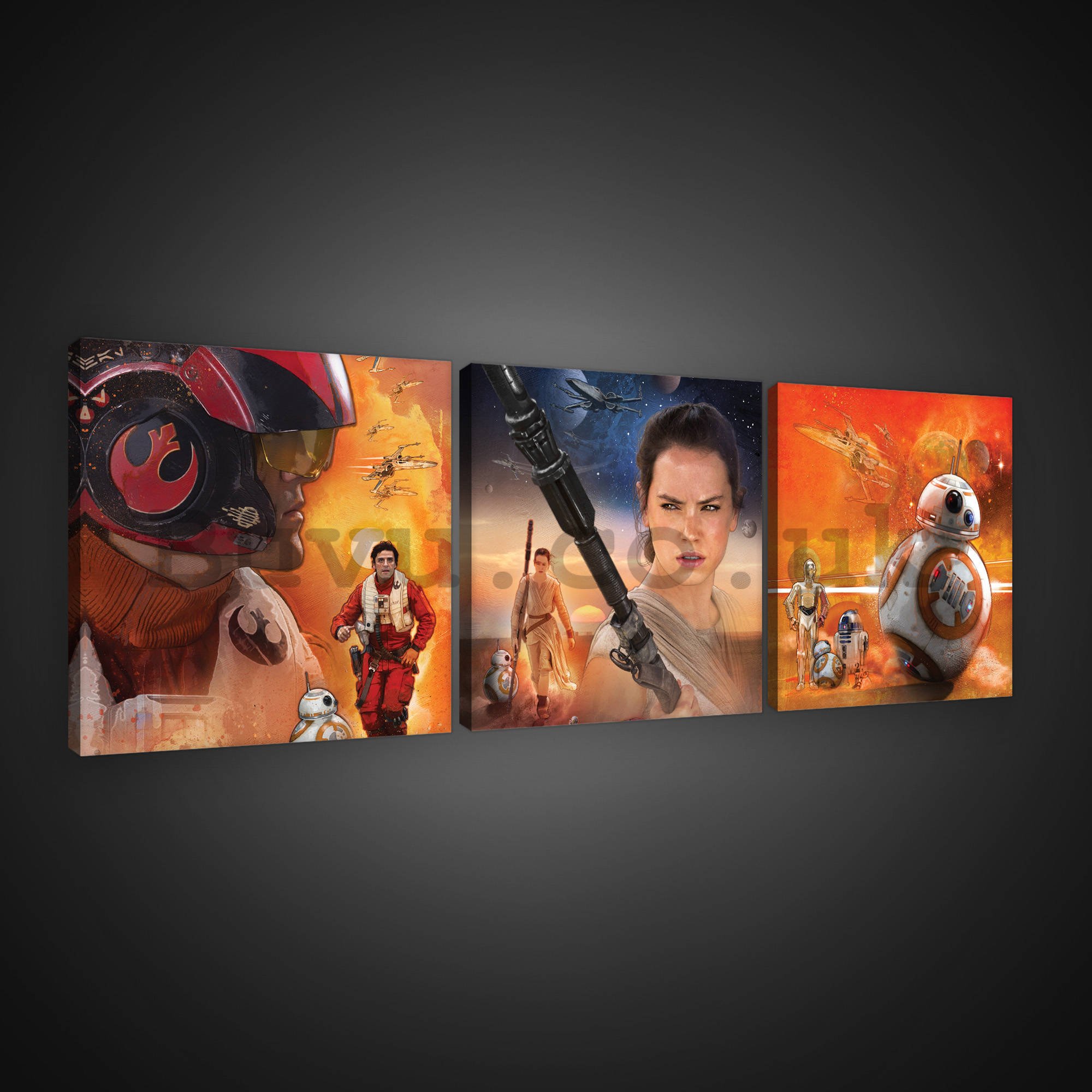 Painting on canvas: Star Wars Resistance Heroes - set 3pcs 25x25cm