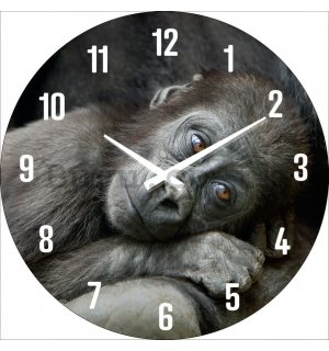 Glass wall clock: A baby gorilla - 30 cm