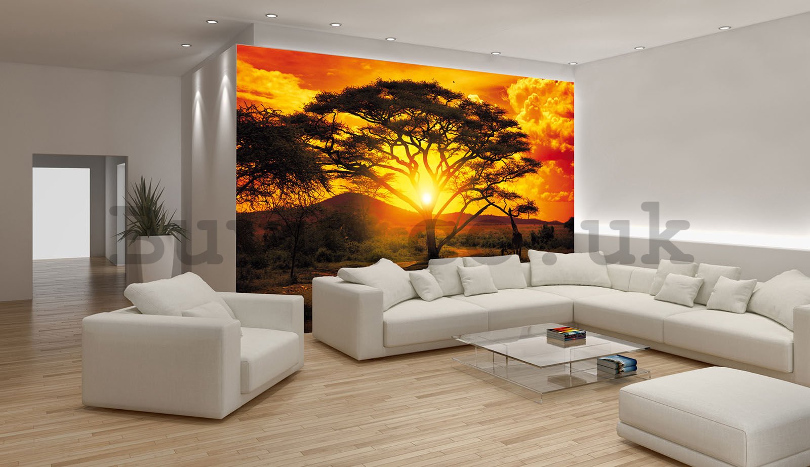 Wall mural: African sunset (1) - 368x254 cm