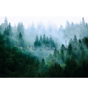 Wall mural vlies: Fog over the forest (3) - 254x184 cm