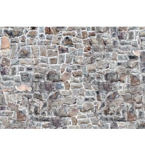 Wall mural vlies: Stone wall (7) - 368x254 cm