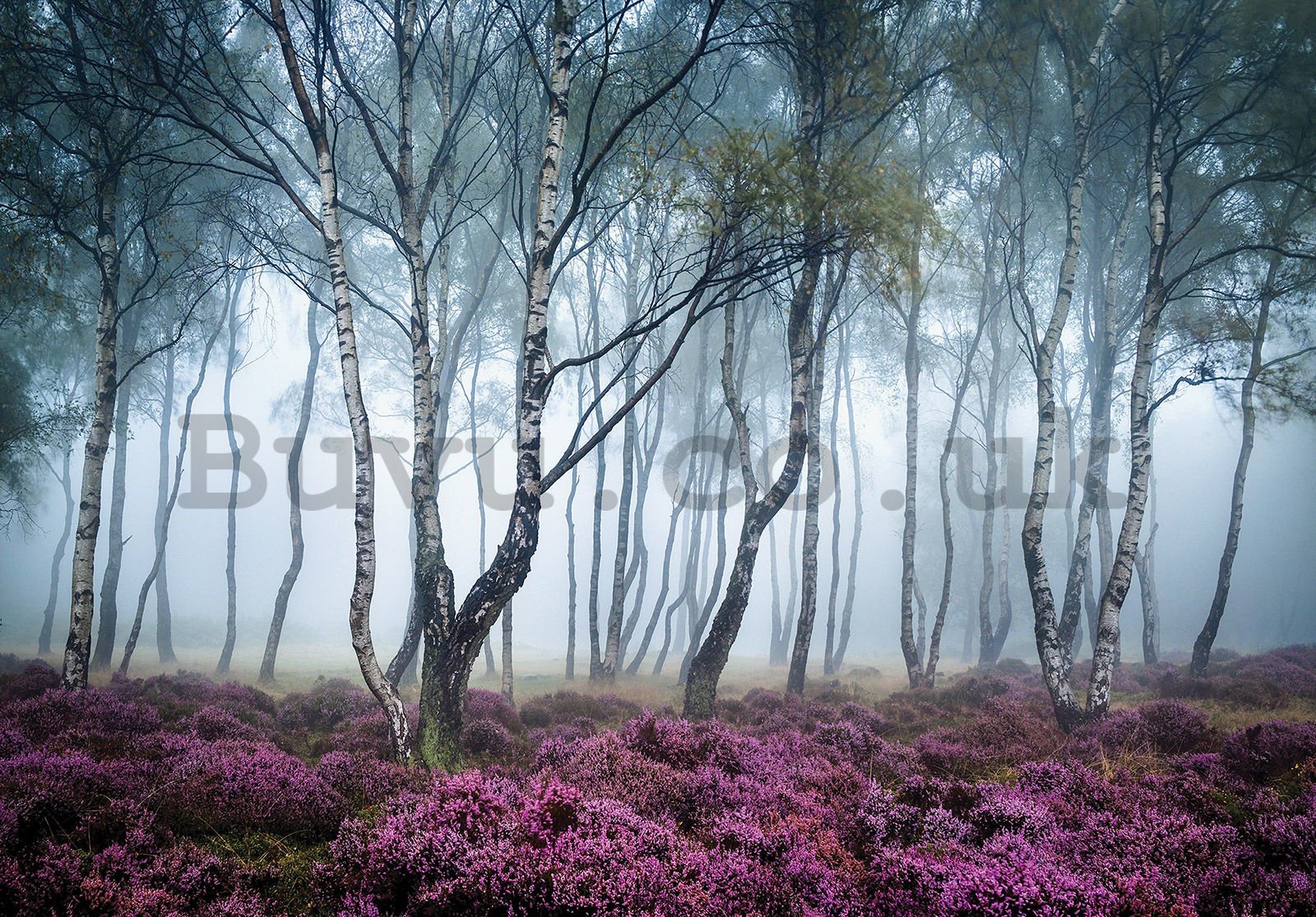 Wall mural vlies: The Mysterious Forest - 368x254 cm