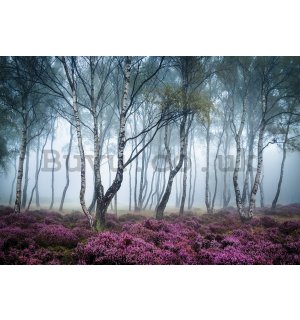 Wall mural vlies: The Mysterious Forest - 368x254 cm