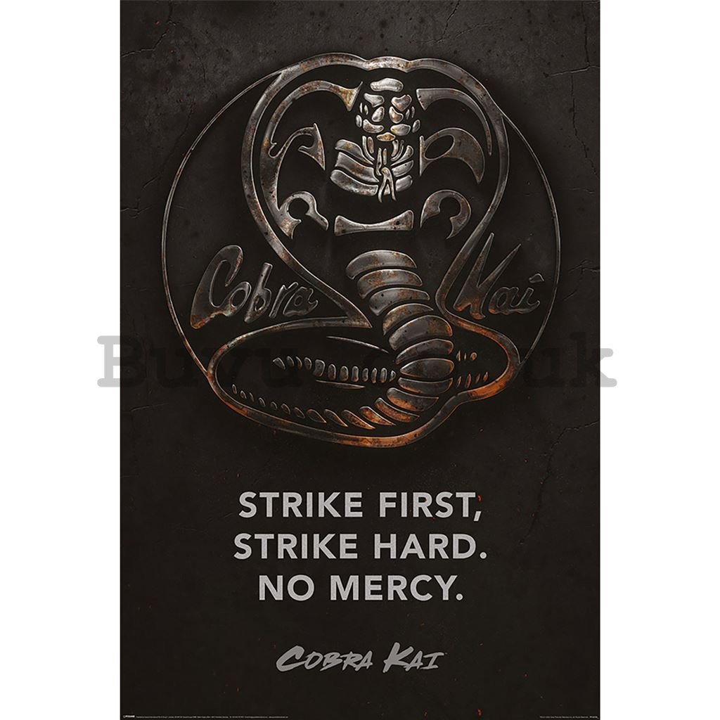 Poster - Cobra Kai (Metal)