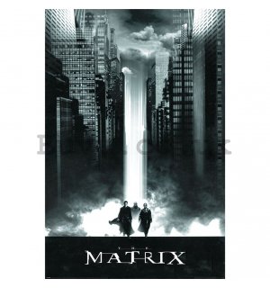 Poster - The Matrix (Lightfall)