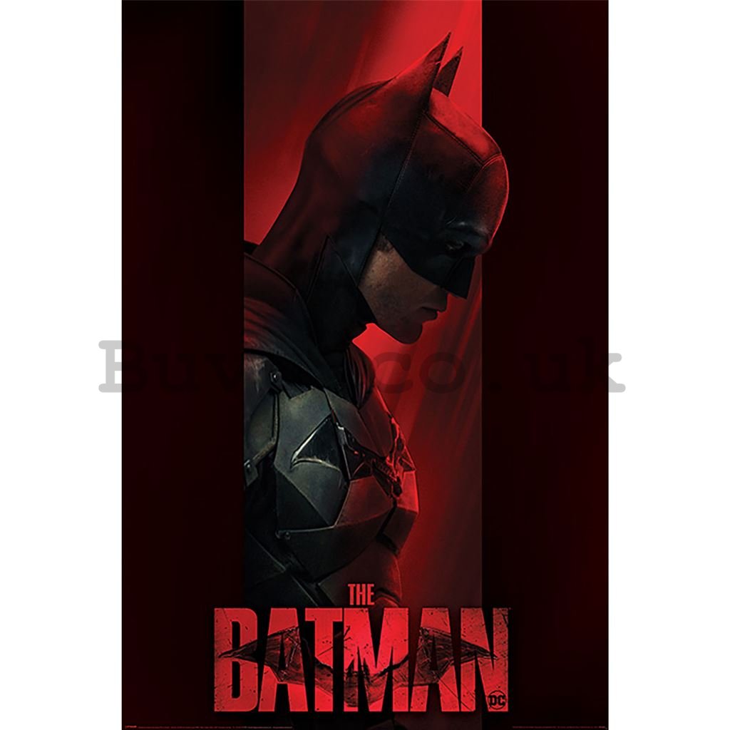Poster - The Batman (Out of the Shadow)