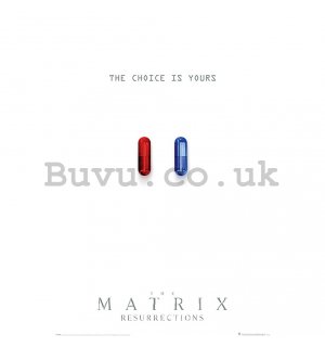 Poster - The Matrix Ressurection (The Choice is Yours)
