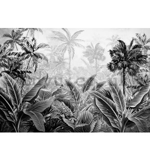 Wall mural vlies: Palm trees and ferns (black and white) - 254x184 cm