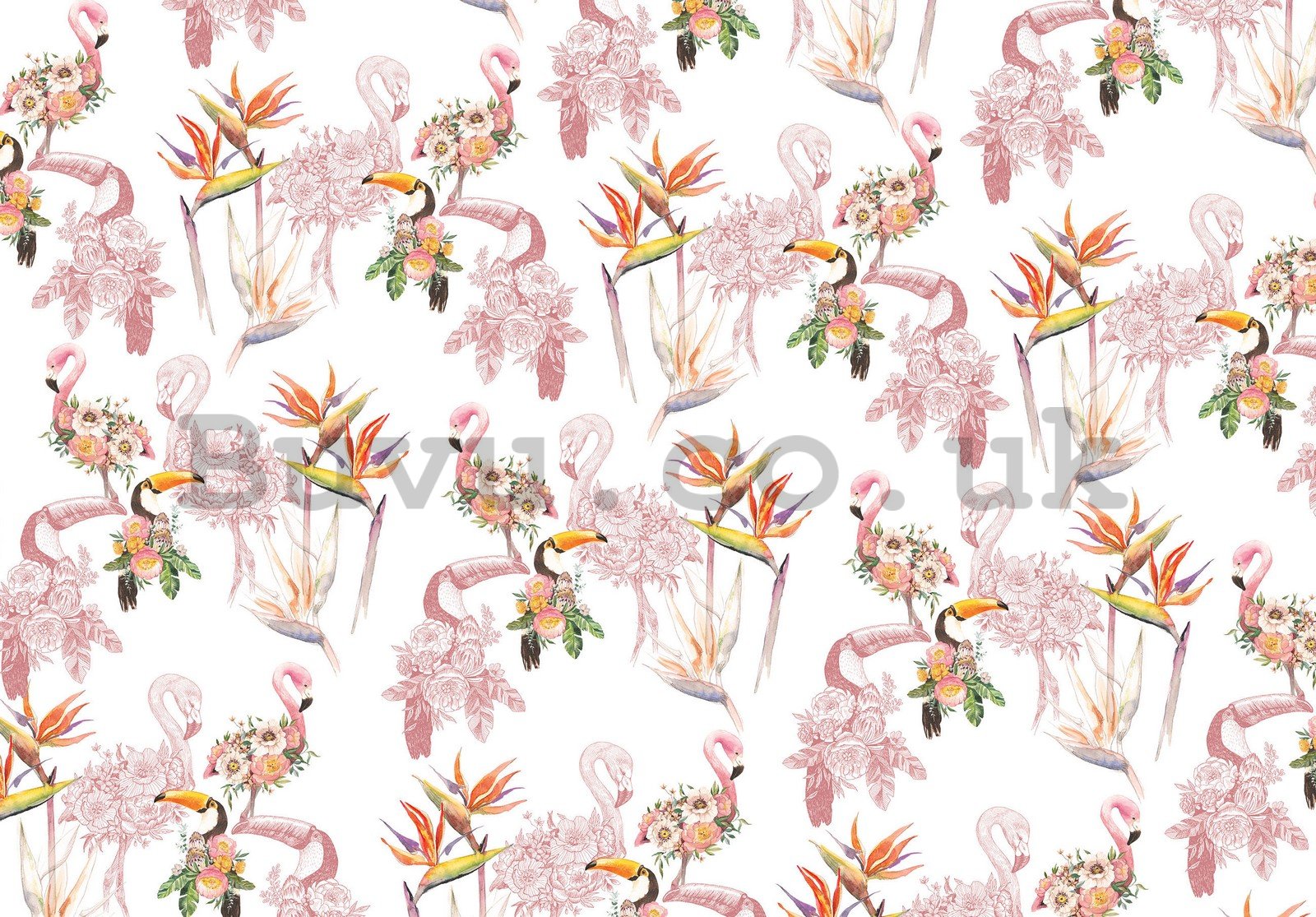 Wall mural vlies: Flamingos and toucans - 254x184 cm