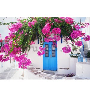 Wall mural vlies: Greek Street Flowers (1) - 254x184 cm