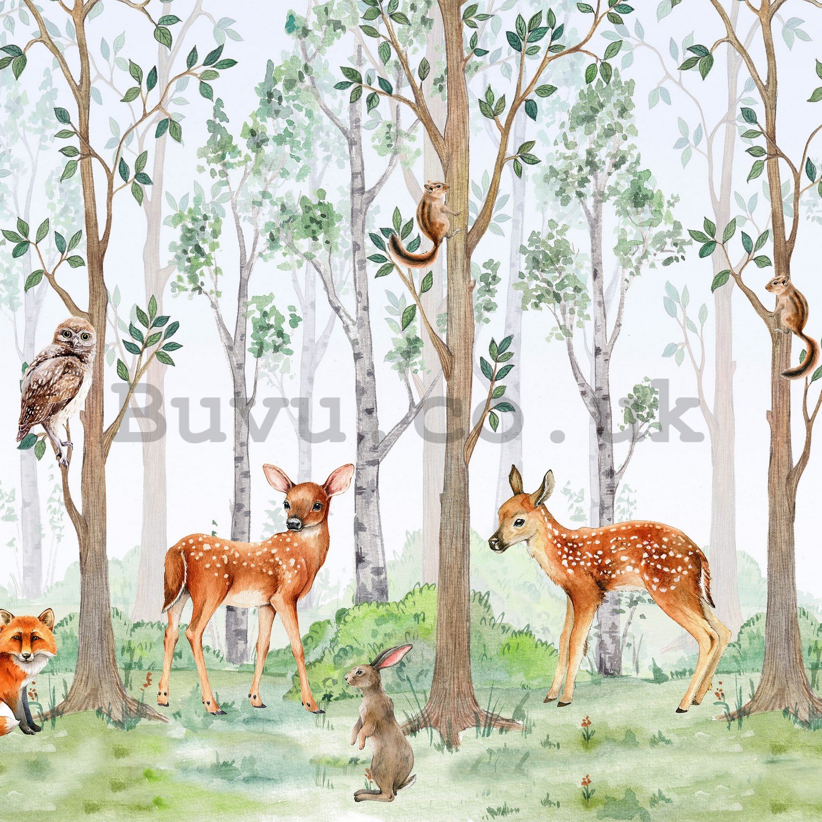 Wall mural vlies: Forest wildlife - 254x184 cm
