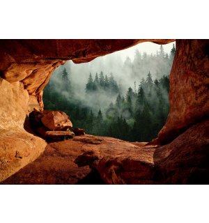 Wall mural vlies: A cave by the forest - 254x184 cm