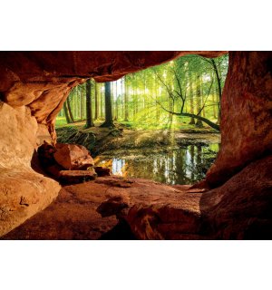 Wall mural vlies: A cave near a floodplain forest - 254x184 cm