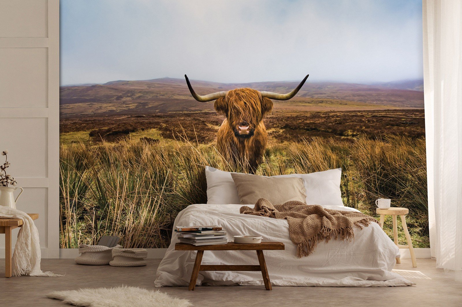 Wall mural vlies: Highland cattle (1) - 368x254 cm