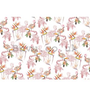 Wall mural vlies: Flamingos and toucans - 368x254 cm