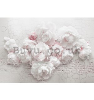 Wall mural vlies: White roses on the wall - 368x254 cm