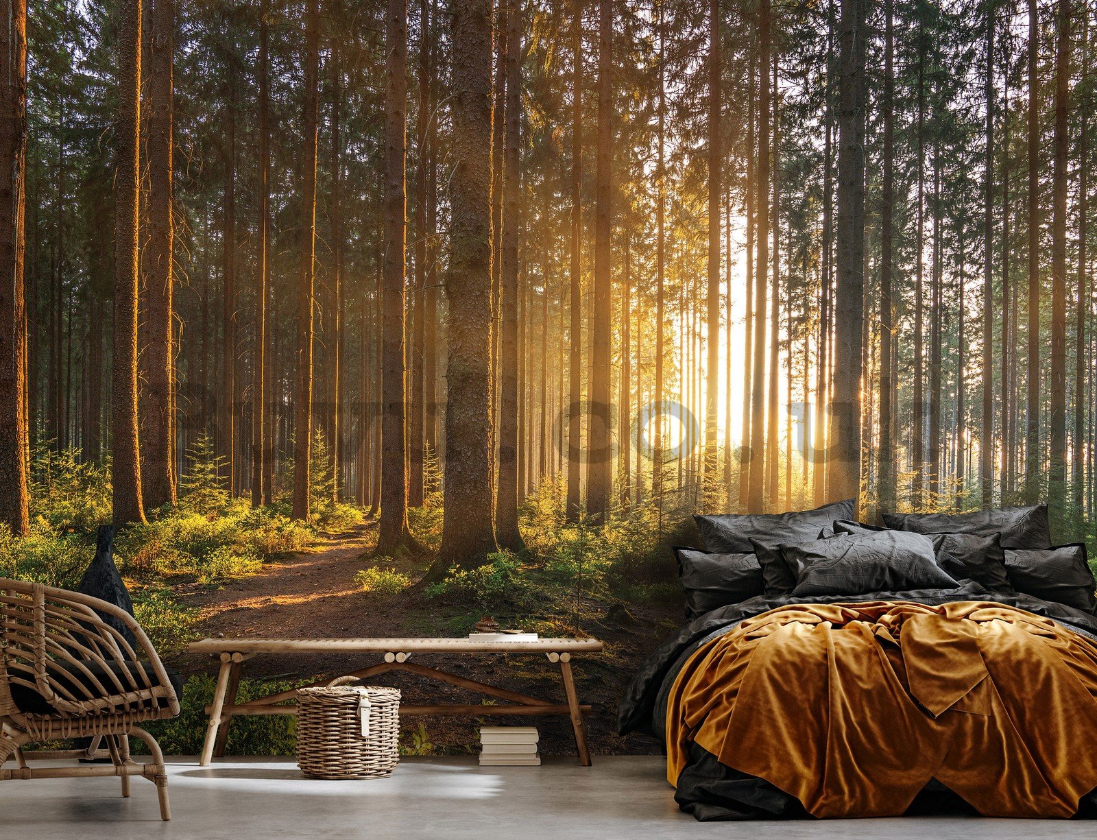 Wall mural vlies: Sunset in the forest (2) - 368x254 cm