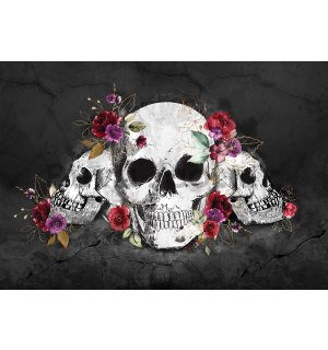 Wall mural vlies: Skulls and flowers - 368x254 cm