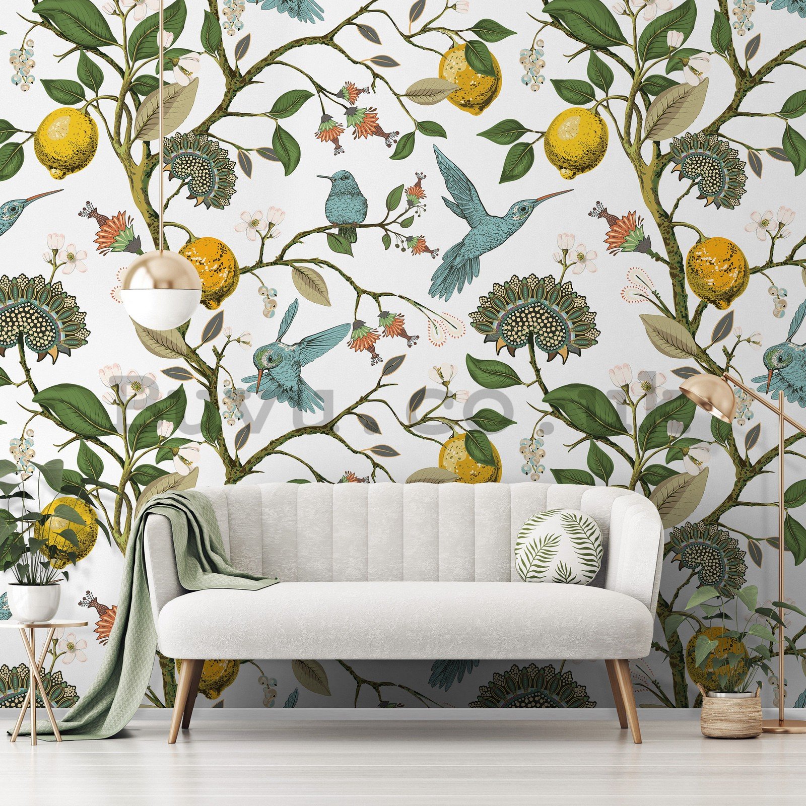 Wall mural vlies: Hummingbirds and citruses - 368x254 cm