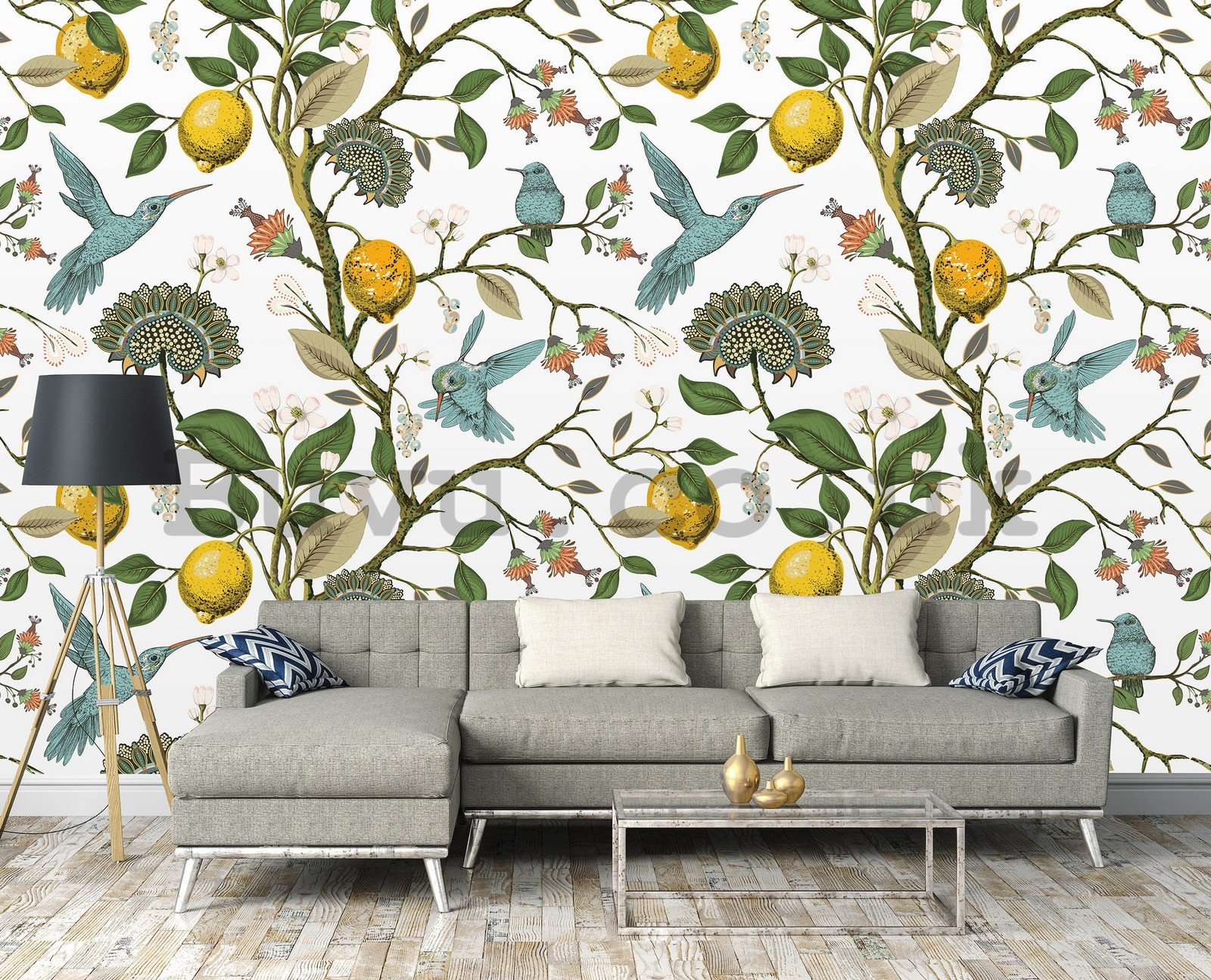 Wall mural vlies: Hummingbirds and citruses - 416x254 cm